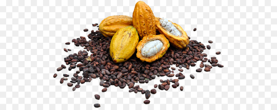 Mix di spezie Misto di spezie Cacao Superfood Miscela - altri