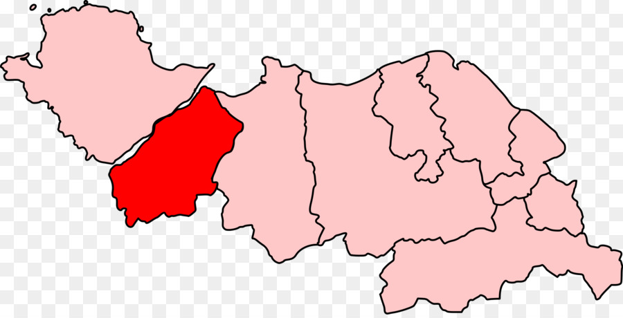 Arfon Cử tri huyện Quốc Hội cho Wales bầu cử năm 2007 thành Viên của Quốc Hội xứ Wales - những người khác