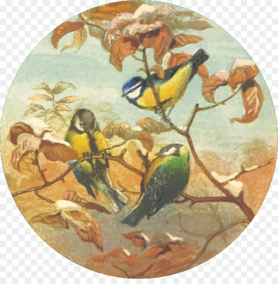 Bức tranh Vẽ Lông yêu Thích: Anh Chim Clip nghệ thuật - bức tranh