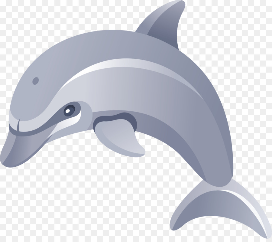 Dolphin Vẽ Clip nghệ thuật - Cá heo
