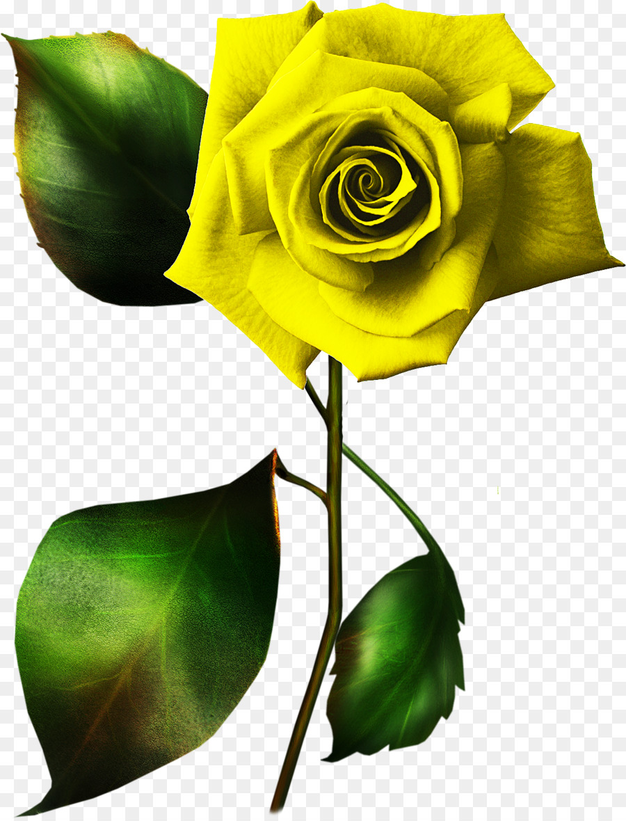 Rose Gold Flower