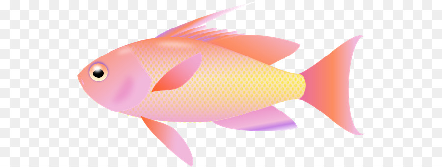 Sfondo per il Desktop del Pesce Clip art - pesce