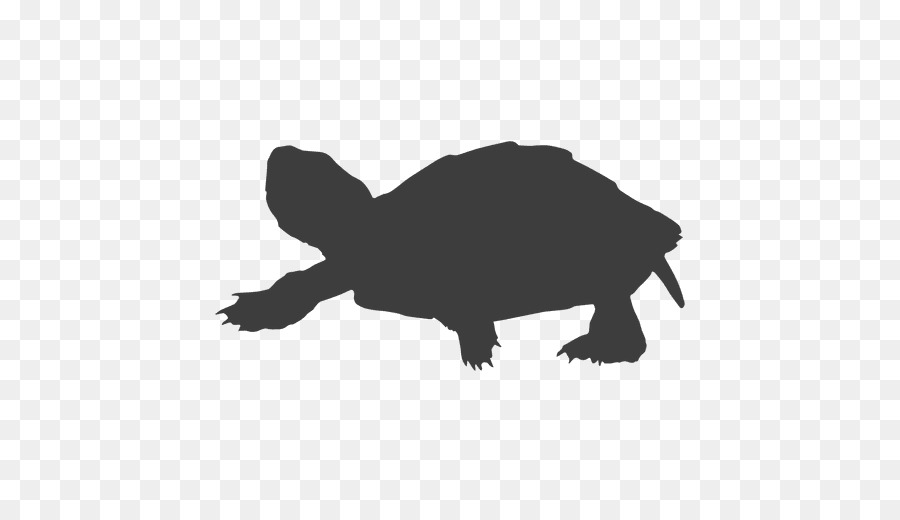Tartaruga Tartaruga Silhouette - tartaruga