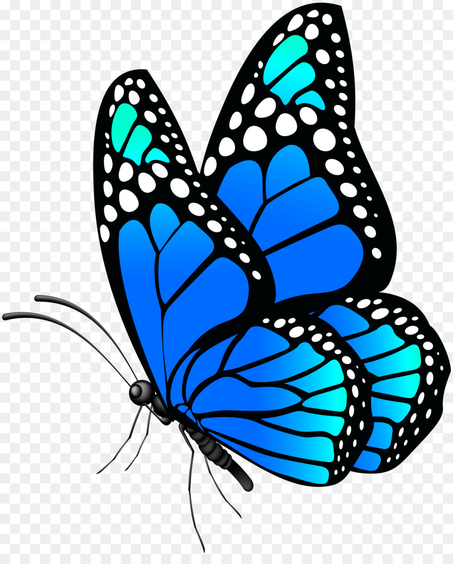 Farfalla monarca Menelao blu morpho Clip art - farfalla
