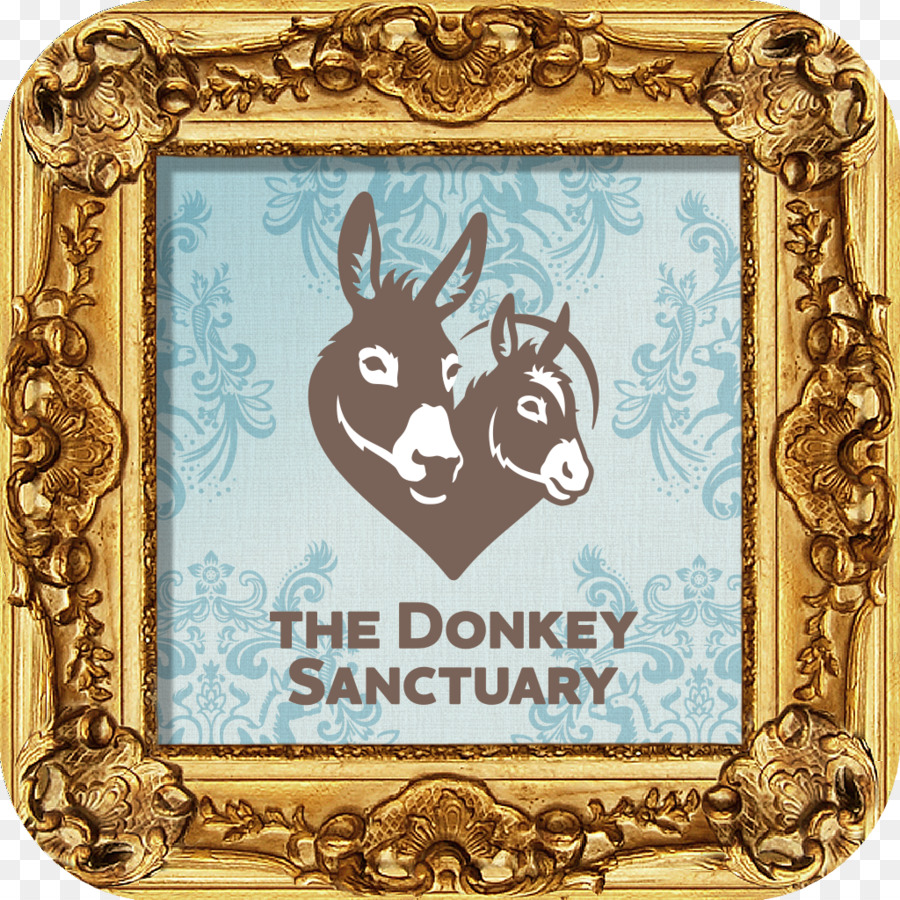 Die Donkey Sanctuary Bilderrahmen Tier Muster - Esel