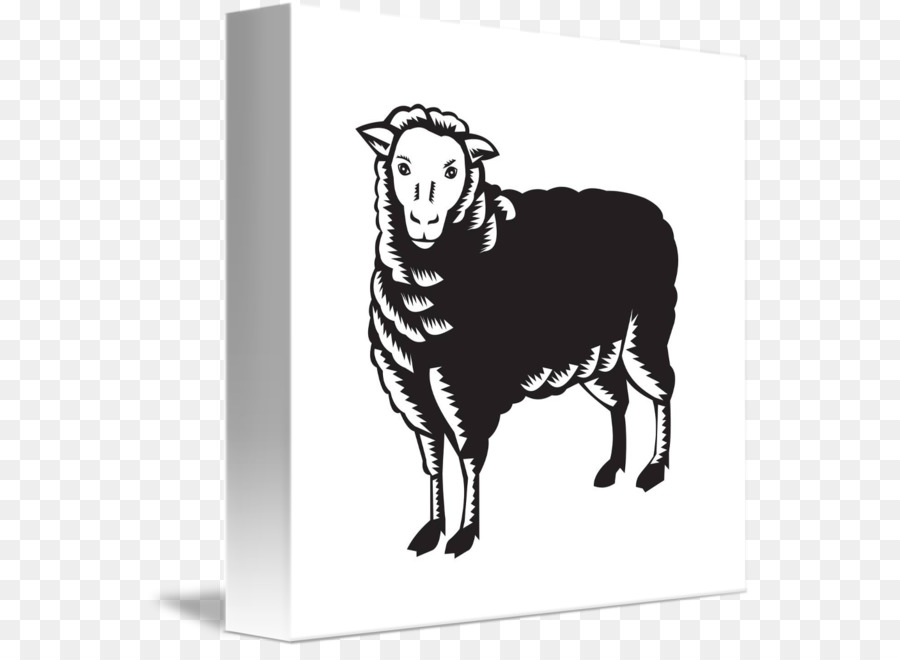 Sheep Agneau Can Stock Photo-Royalty-free - Schafe