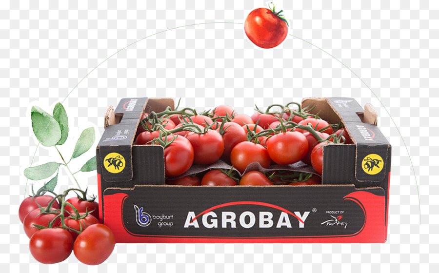 Store sales Agrobay Busch-Tomate - die Tomaten-House-Natürliche Lebensmittel - Tomaten
