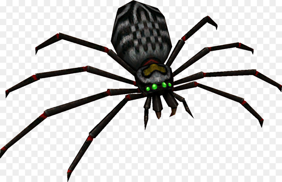 Widow nhện Côn trùng màu sắc G. 1800E.J.M.V.U.CHÚ THÍCH Y - côn trùng