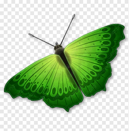 Schmetterling Computer Icons Icon design Clip art - Schmetterling