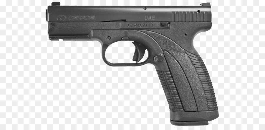 Springfield Armory Pistola Magazine 9×19 e Puntare .45 ACP - altri