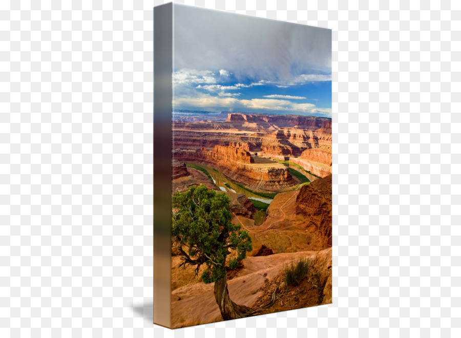 Dead Horse Point State Park Badlands Gallery wrap National park Leinwand - totes Pferd