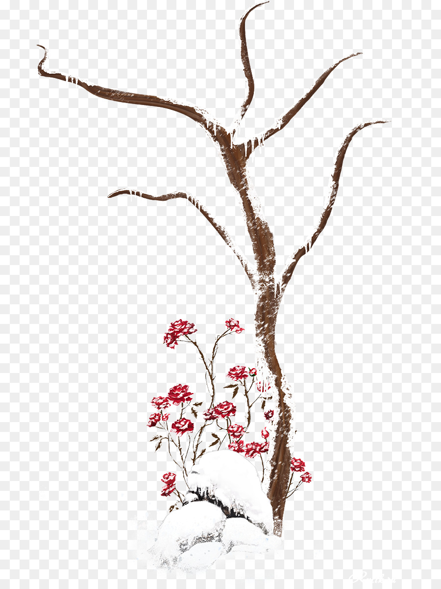 Cây Đông Tải về Clip nghệ thuật - cây