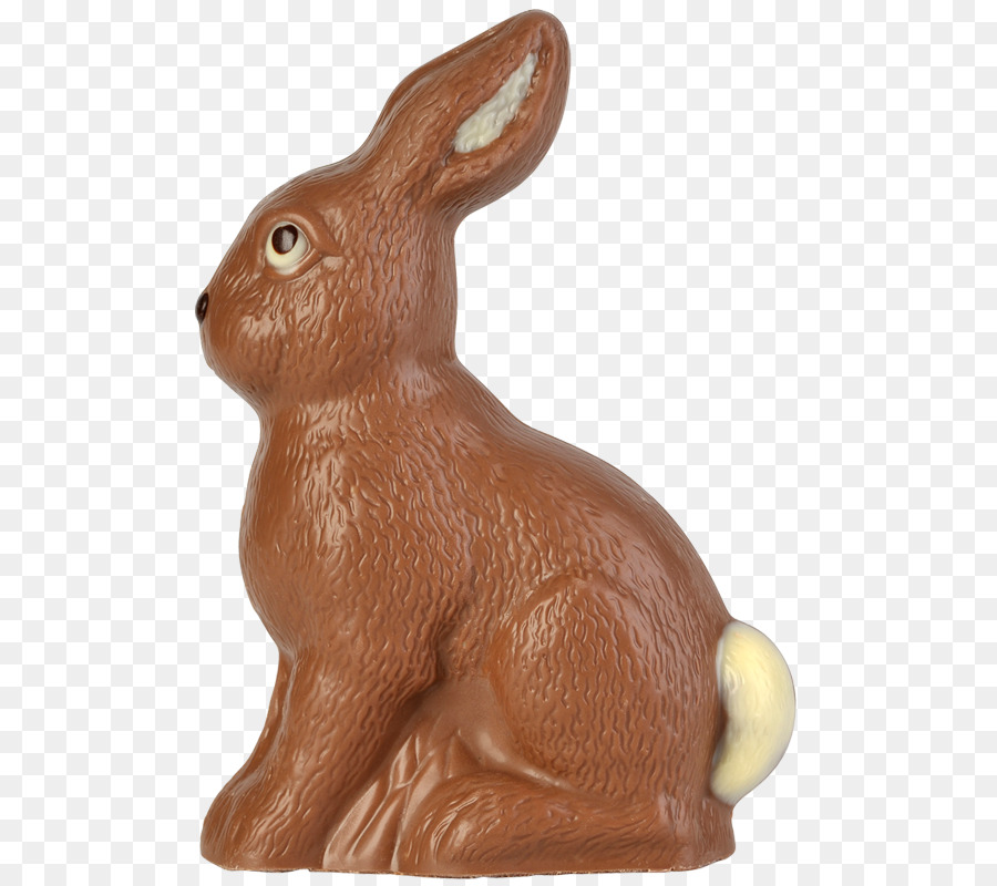 Thỏ trong nước Hare Easter Bunny - hugo