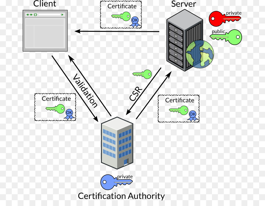Rete di Computer Transport Layer Security Self-firmato il certificato di autorità di certificazione del certificato della chiave Pubblica - altri