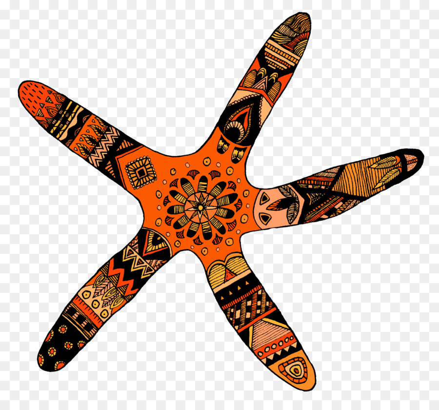 Starfish Cibo Aereo - stella marina