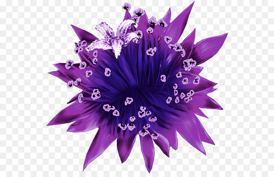 Cắt hoa Bokmärke Cánh Victoria - hoa