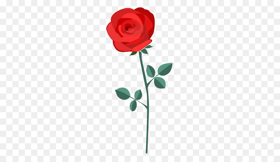 Garten Rosen Zeichnung - Rose