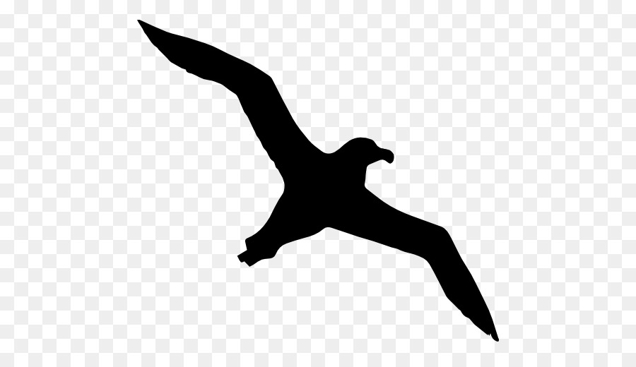 Simbolo delle icone del calcolatore dell'uccello dell'uccello - uccello