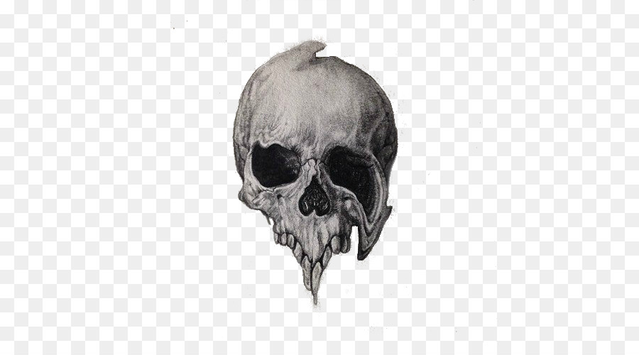 Skull Archives - SimilarPNG