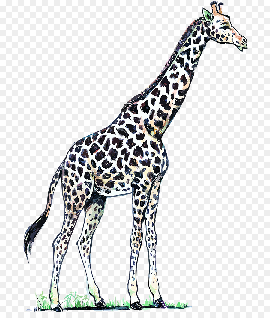 Nord-giraffe Kunst-Hals - Giraffe
