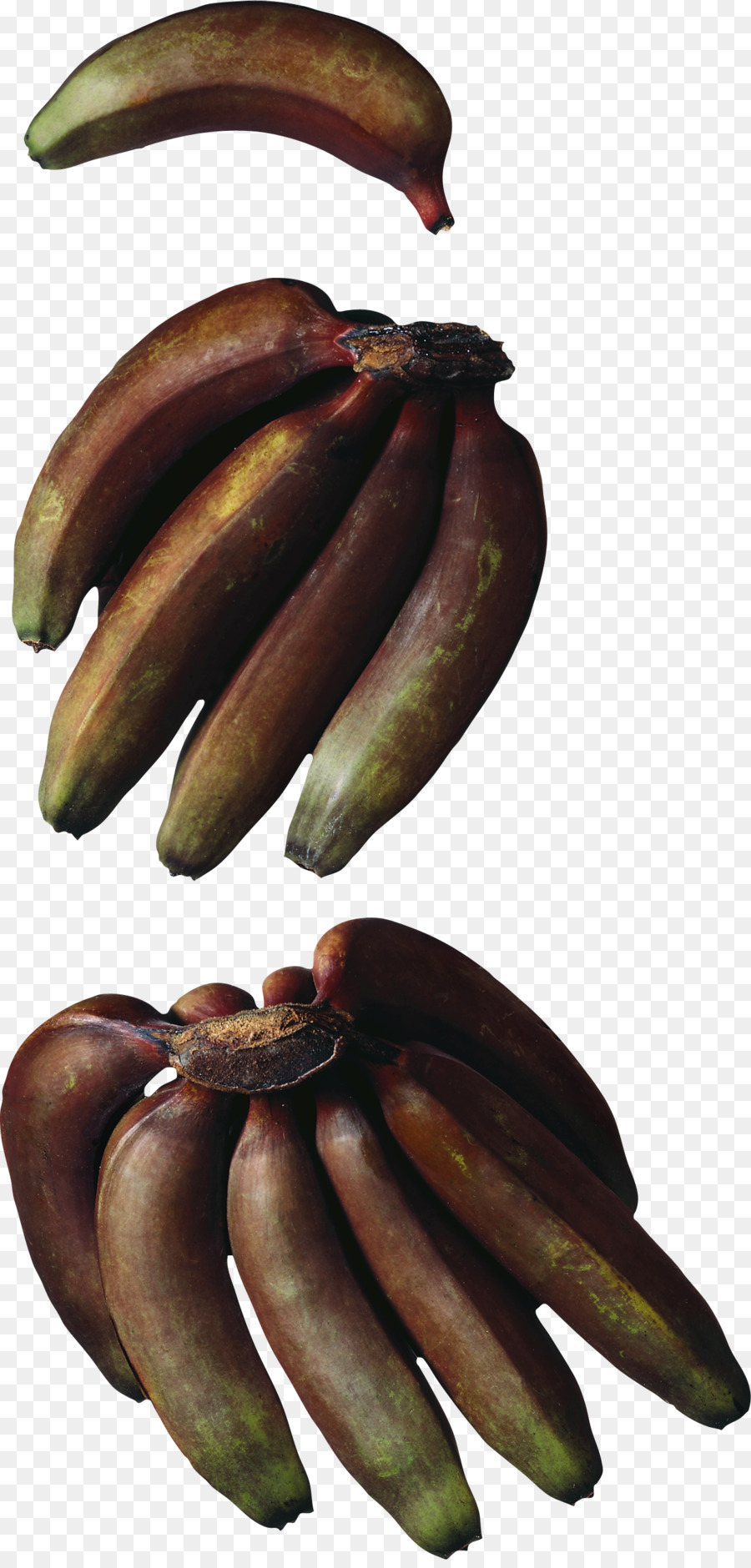 Kochen Bananen-Winterharte Banane Rot Banane Musa × paradisiaca - andere