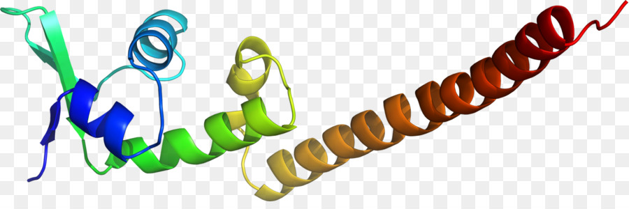 Protein liên kết TATA Động cơ phiên mã II D Miền chuyển vị - những người khác