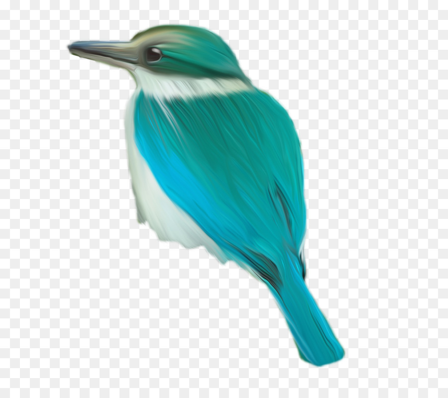 Becco di pittura verde colibrì - uccello