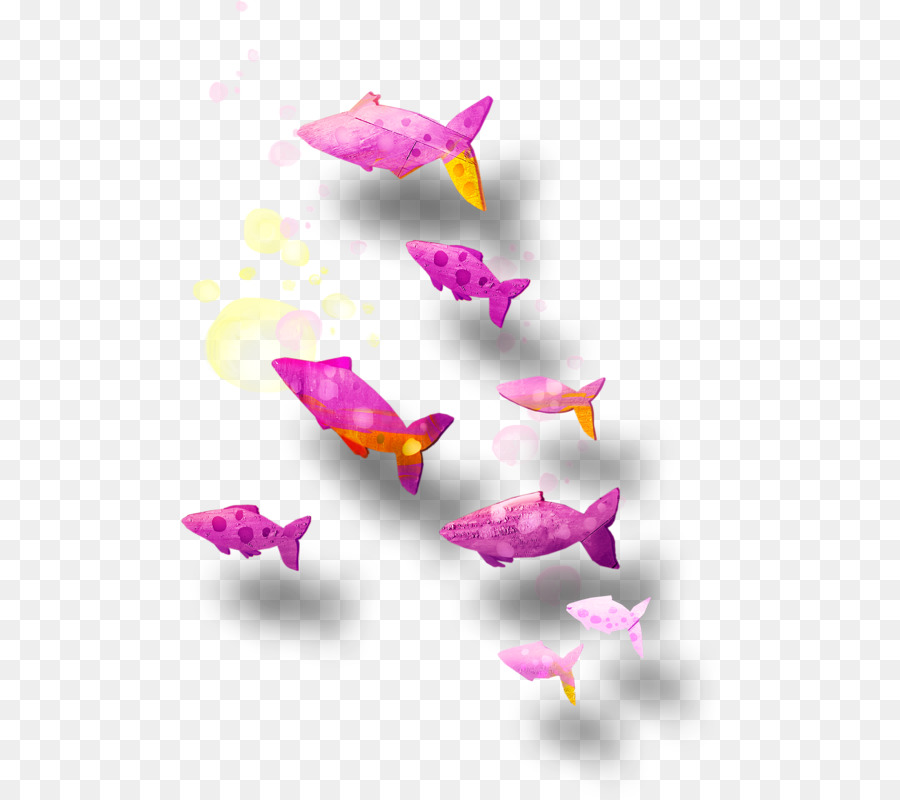 Rosa M - Drachen Fisch