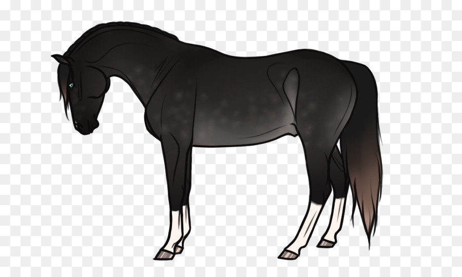 Bờm Ngựa Mustang Ngựa Pony - requiem cho một giấc mơ
