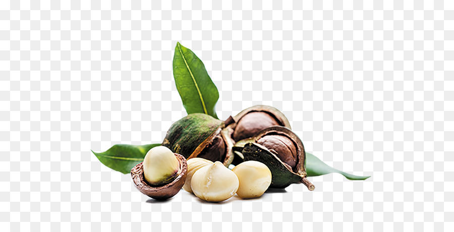 Olio di Macadamia Nut di Mandorle - mandorla