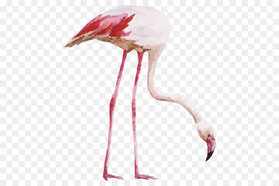 Flamingo-Zeichnung-Aquarell-Malerei - Flamingo