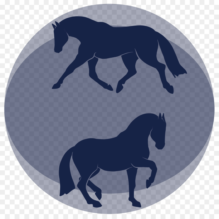 Mustang Hof Ivre Mort Claudia u. Wolfgang Blocco Equestre Stallone Pony - morte