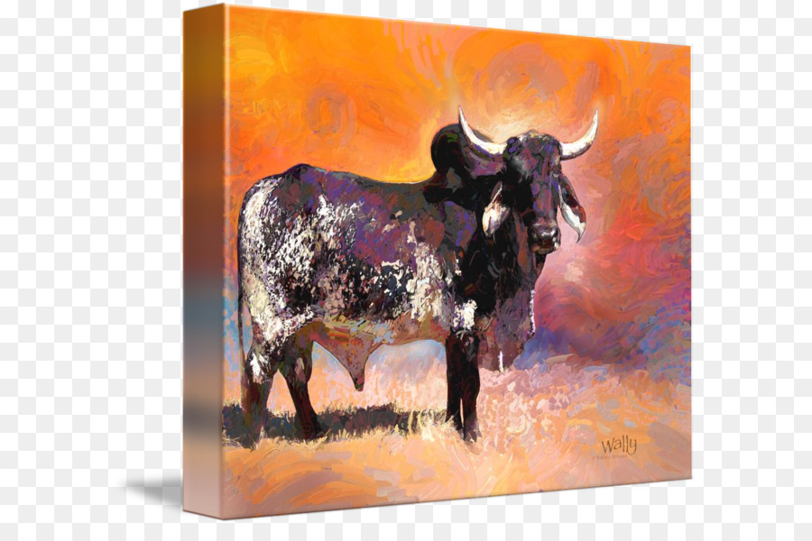 Texas Longhorn Inglese Longhorn Pittura - pittura