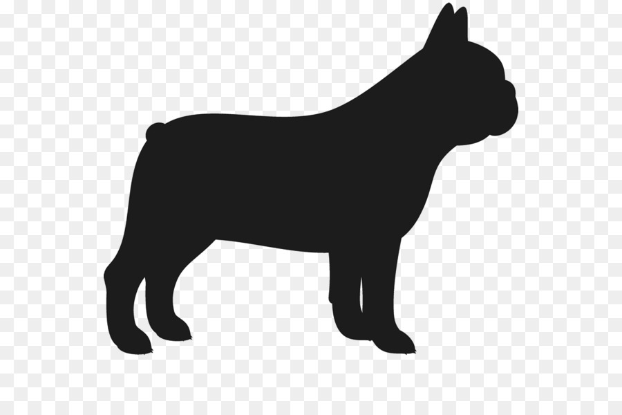 Französisch Bulldog-Mops-American Bulldog Welpen - Welpen