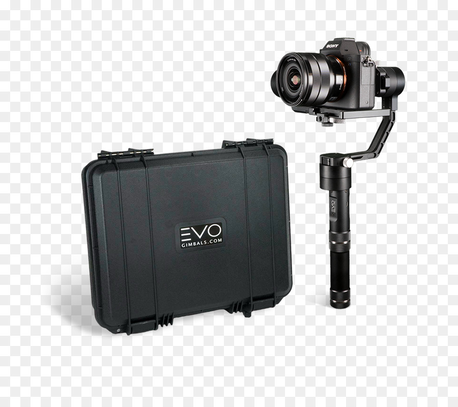 Fotocamera stabilizzatore Gimbal REFLEX Digitali intercambiabili Mirrorless fotocamera - fotocamera