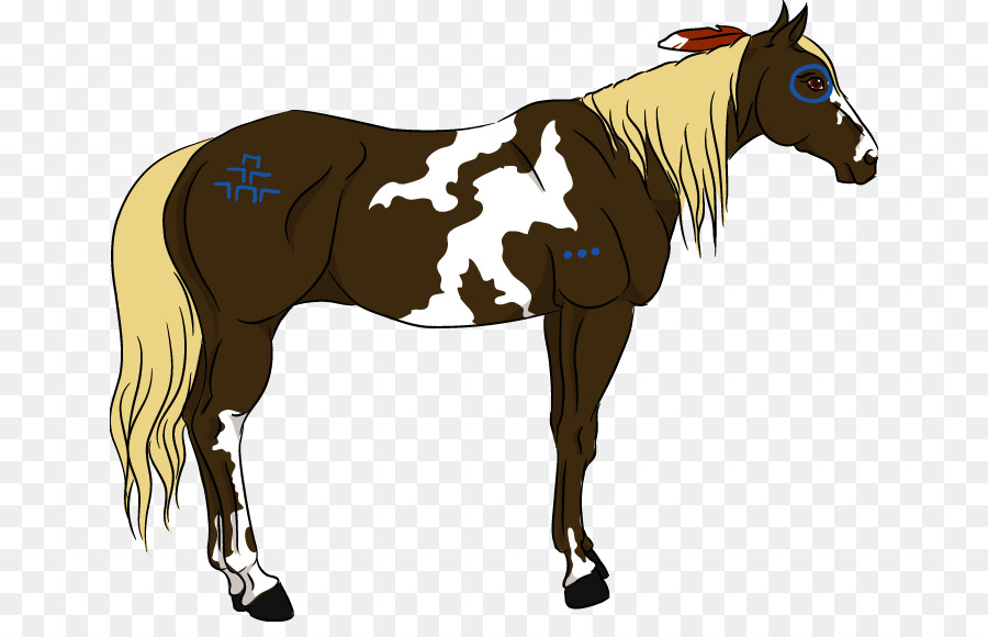 Mähne Mustang American Paint Horse Hengst Fohlen - gemaltes Pferd