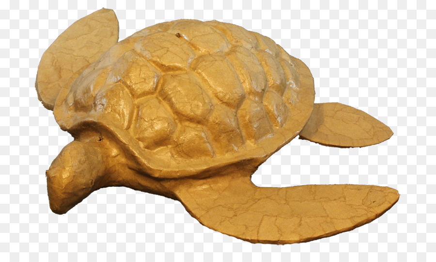 Bestattungsurne Tartaruga L'urna delle Ceneri di Cremazione - tartaruga