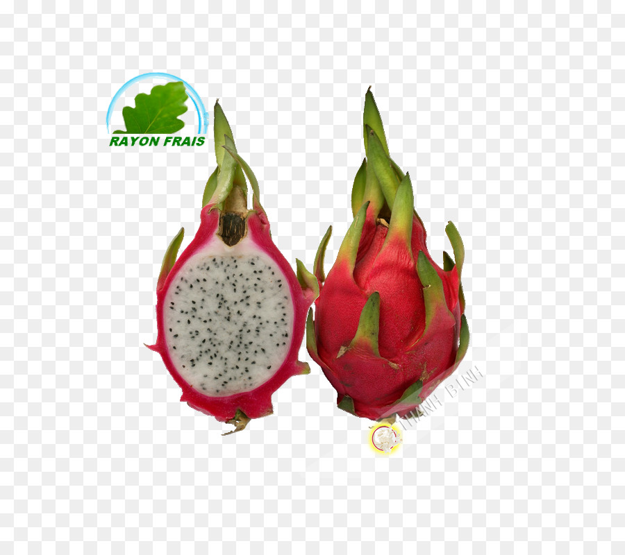 Pitaya a polpa Bianca pitahaya, Succo di Frutta, Alimenti - succo di