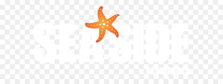 Starfish Echinoderma Font - stella marina