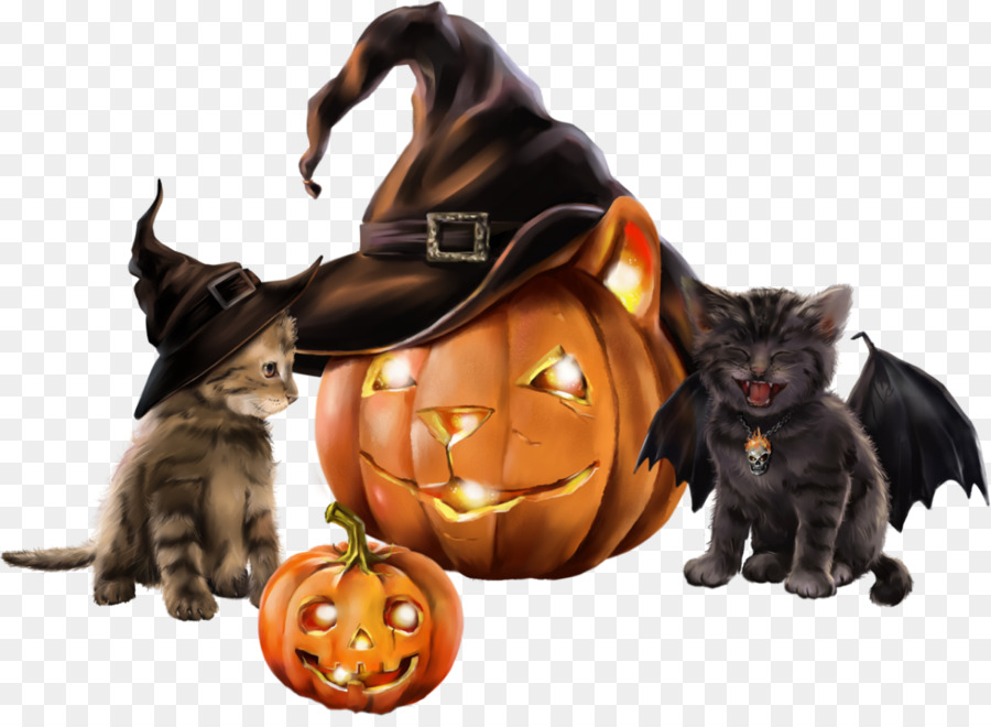 Schwarze Katze-Kätzchen-Halloween-Hexe - Kätzchen