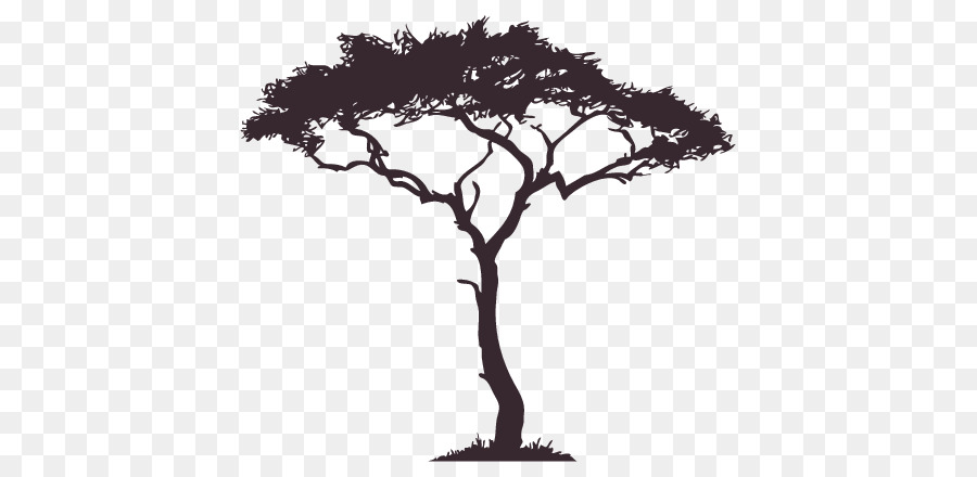 Silhouette Afrikanische Bäume - Silhouette