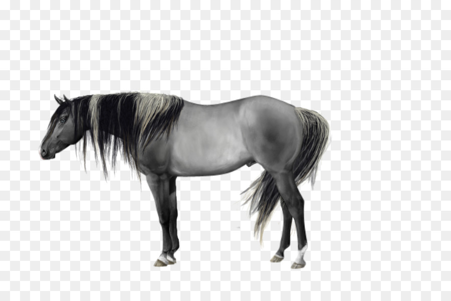 Mane Mustang Stallone Pony Mare - quarter horse