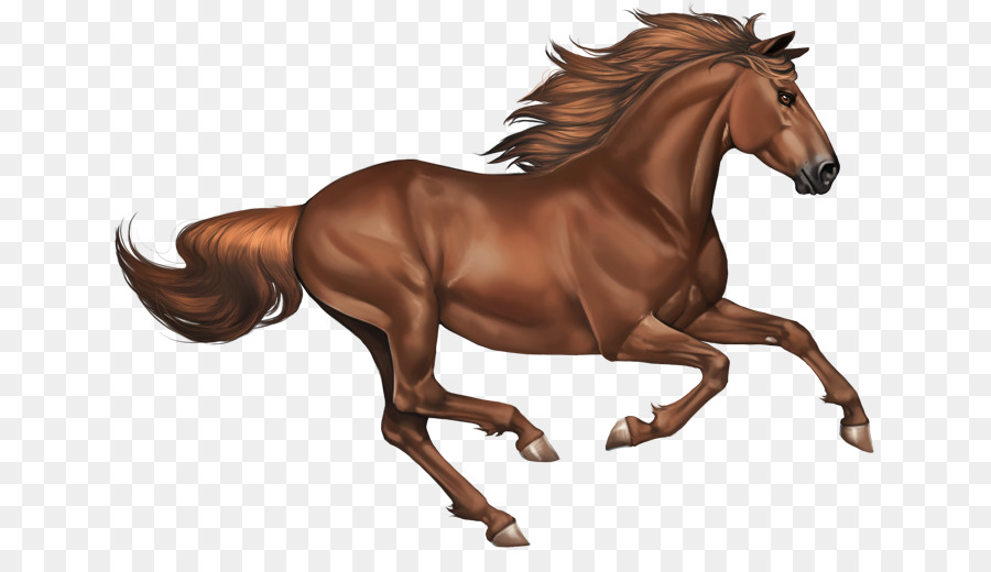 Mustang Con Ngựa Mare Bờm Ngựa - mustang