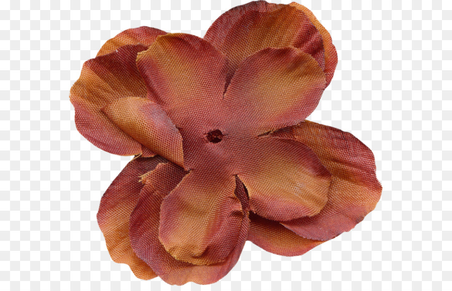 Blütenblatt Blog Orange S. A. (Blume - Blume