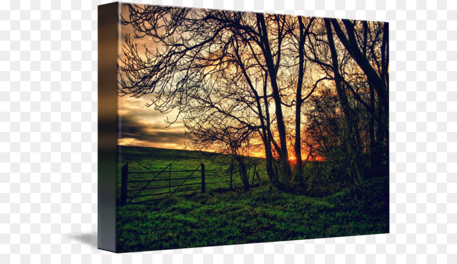 iPhone 8 Douchegordijn Pittura carta da Parati Desktop High-dynamic-range imaging - pittura