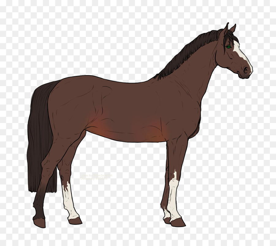Stallion Ngựa Mustang Mare Clip nghệ thuật - mustang