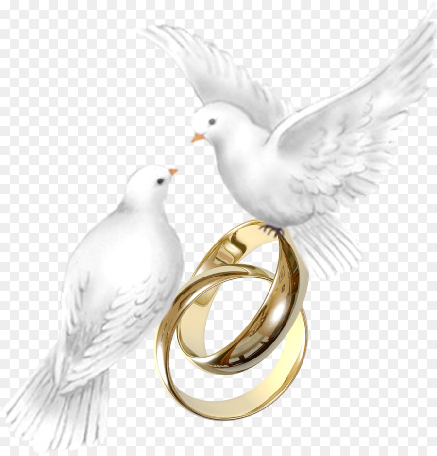 ¿Vale la pena casarse? Becco Piuma anello di Nozze - piuma