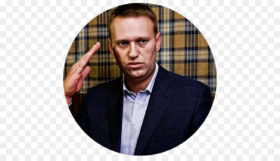 Alexei Navalny Demonstration Poster Investigative Committee von Russland, Kabardino Balkarien - andere