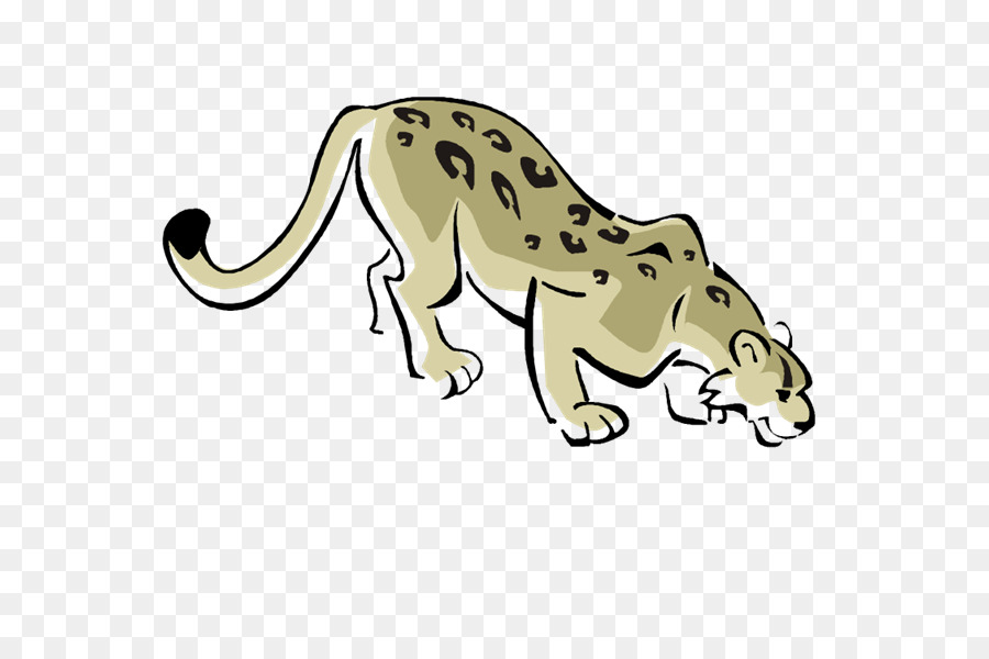 Gepard, Tiger, Leopard, Löwe, Katze - persischer leopard