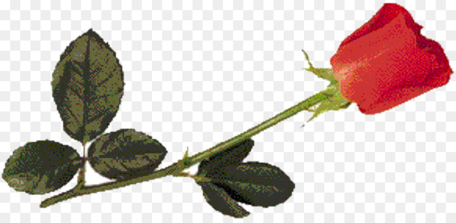 Giardino di rose di Carta invito a Nozze Bud Foglia - un pezzo di carta